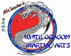 white dragon martial arts mchenry il